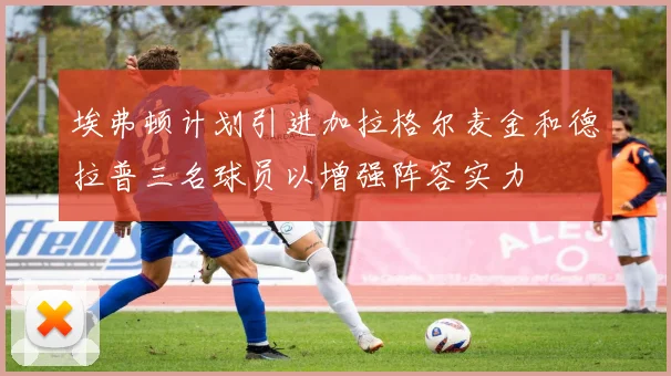 埃弗顿计划引进加拉格尔麦金和德拉普三名球员以增强阵容实力